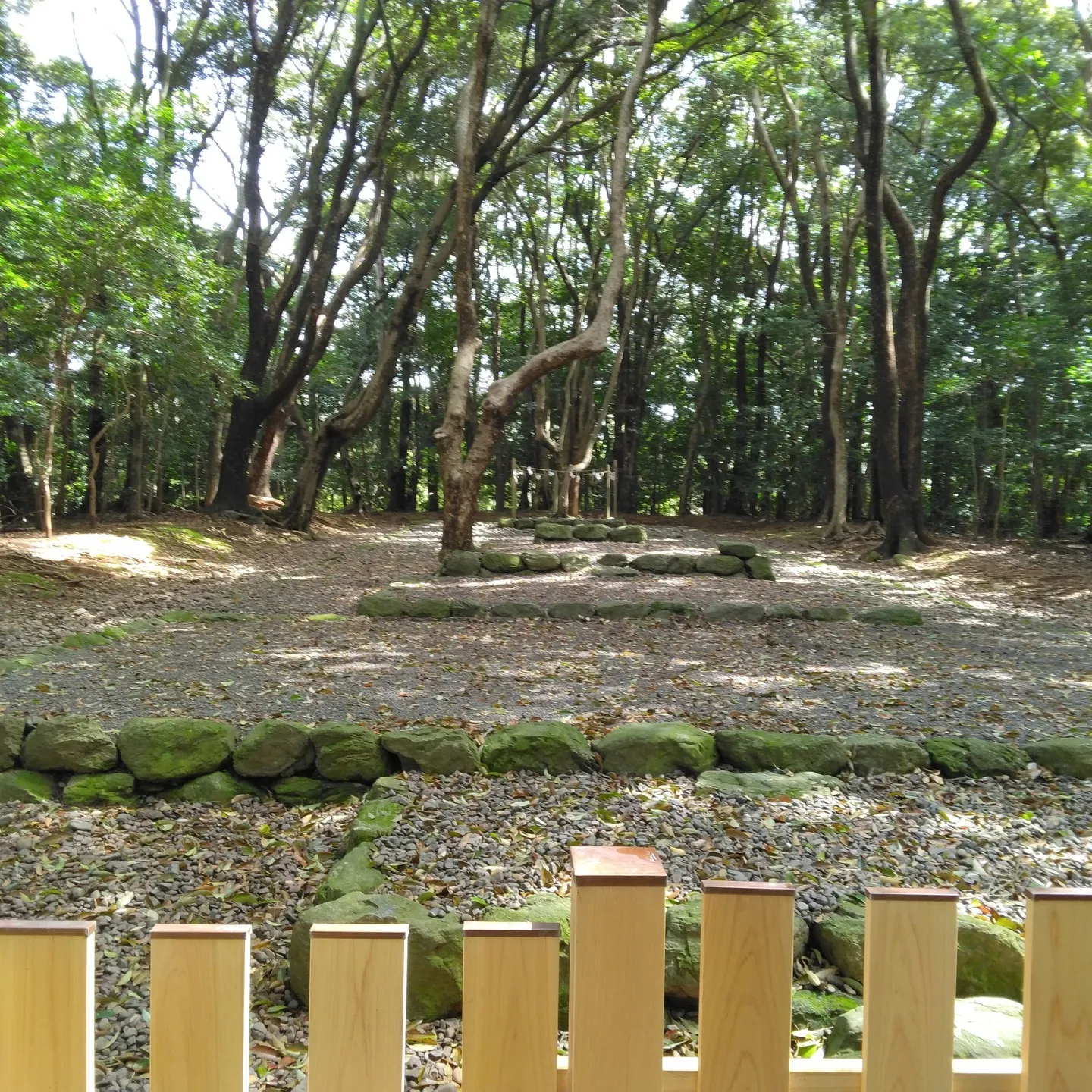 保険の本質は「相互扶助」という精神に基づいています。